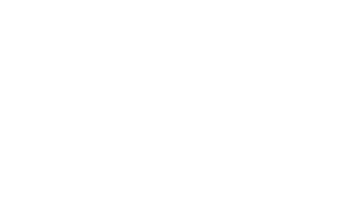 Dressvoice logo white